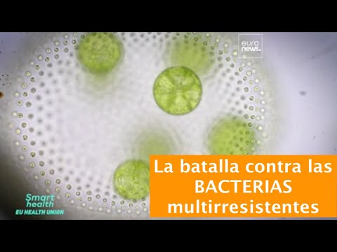 La batalla contra las bacterias multirresistentes