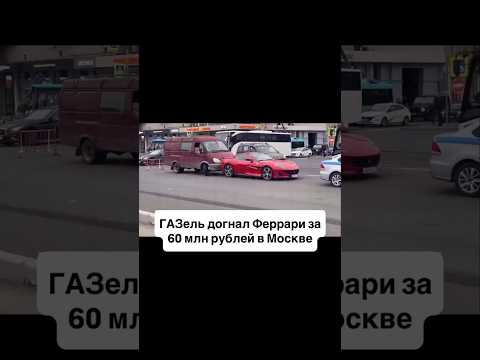 Неудачный день газелиста