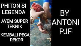 piton sang legenda dunia perayaman||by Antoni PJF