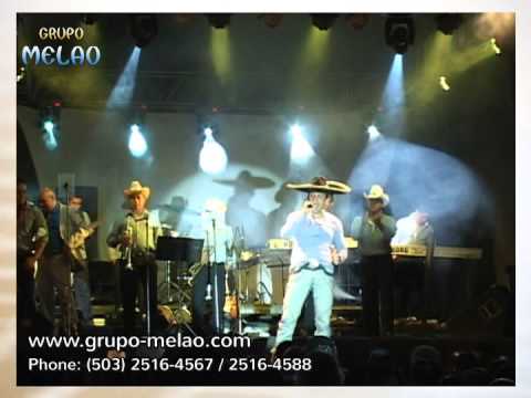 GRUPO MELAO SALVADOR grupo melao salvador: