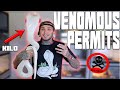 How to get into Venomous Reptiles and Is it for just Anyone?! | Tyler Nolan