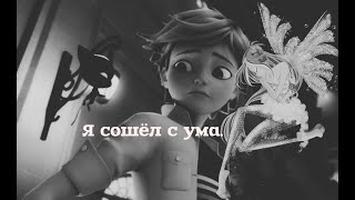 картинка: Я сошёл с ума. Винкс Флора и Супер Кот.