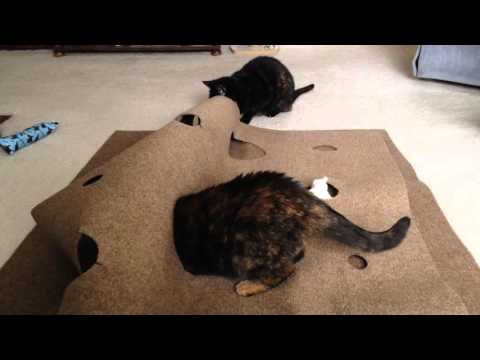 Snuggly Cat Ripple Rug Reviews - Paw of Approval - The Dodo