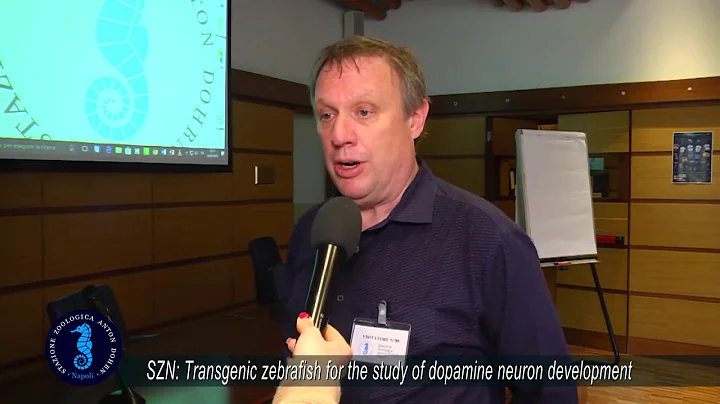 SZN: Transgenic zebrafish for the study of dopamine neuron development