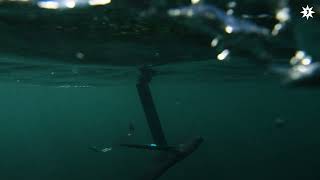 Junghans Aquaris Build For The Sea