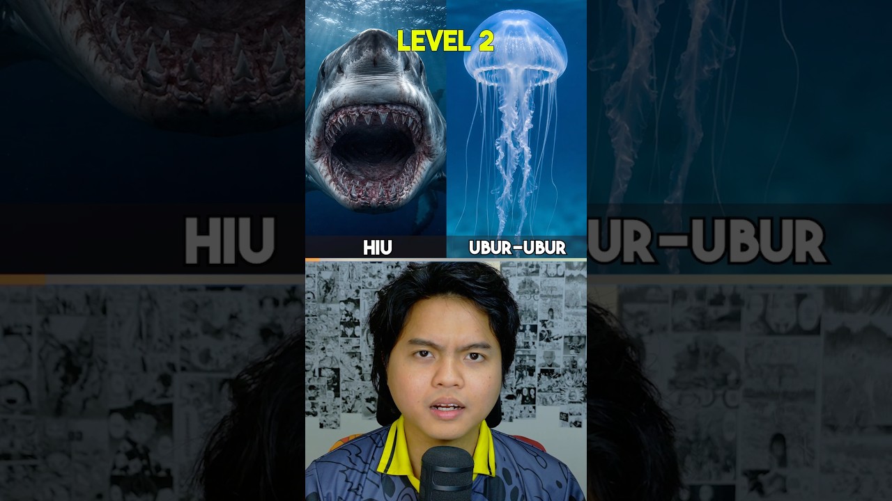 Mana Hewan yang Lebih Berbahaya?🦈