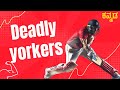 How to bowl yorkers  rbp cricket online kannada
