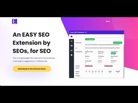 Easy SEO Extension video preview 2