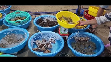 Thưởng Thức Hải Sản Làng Chài Mũi Né Phan Thiết