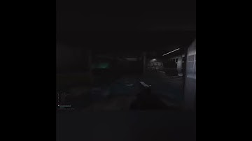 The Average Tarkov Experience