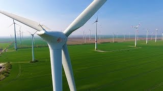 Wind farm with Enercon, Vestas, Wind World, Repower and Neg Micon wind turbine from the air