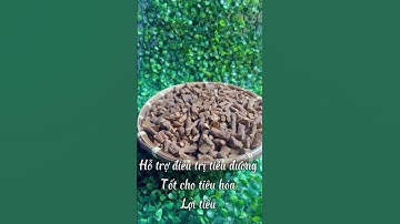 Rễ Bồ Công Anh Thượng Hạng Thải Độc Gan, Lợi Tiểu, Tốt Cho Tim Mạch Hệ Tiêu Hoá