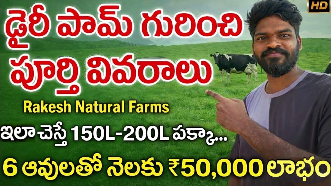 డైరీ ఫార్మ్ గురించి పూర్తి వివరాలు ఇలా చేస్తే 150L TO 200 L పక్క 6: ఆవులతో నెలకు 50000 రూపాయల లాభం 