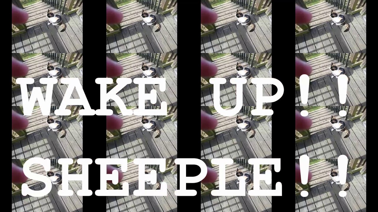 BEST YOUTUBE SUBLIMINAL DEPROGRAMMING VIDEO 2019 VIRAL CONTAGION PARADOX.