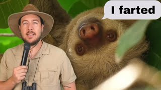 Farts are Funny!  ... Sloths are cool.  Clip n sniff.  Hehe haha This is satisfying.