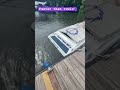 Faster than Rowin’ and louder than YO MAMA!!! #powerboat #powerboating #pizzaship #lake @marina