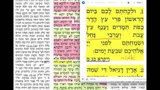 דף יומי מסכת סוכה דף מד Daf yomi Succa daf 44 שמואל נבון