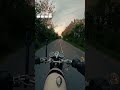 Pigeon nearly wiped me out !!! #classicmotorcycles #motorcycle