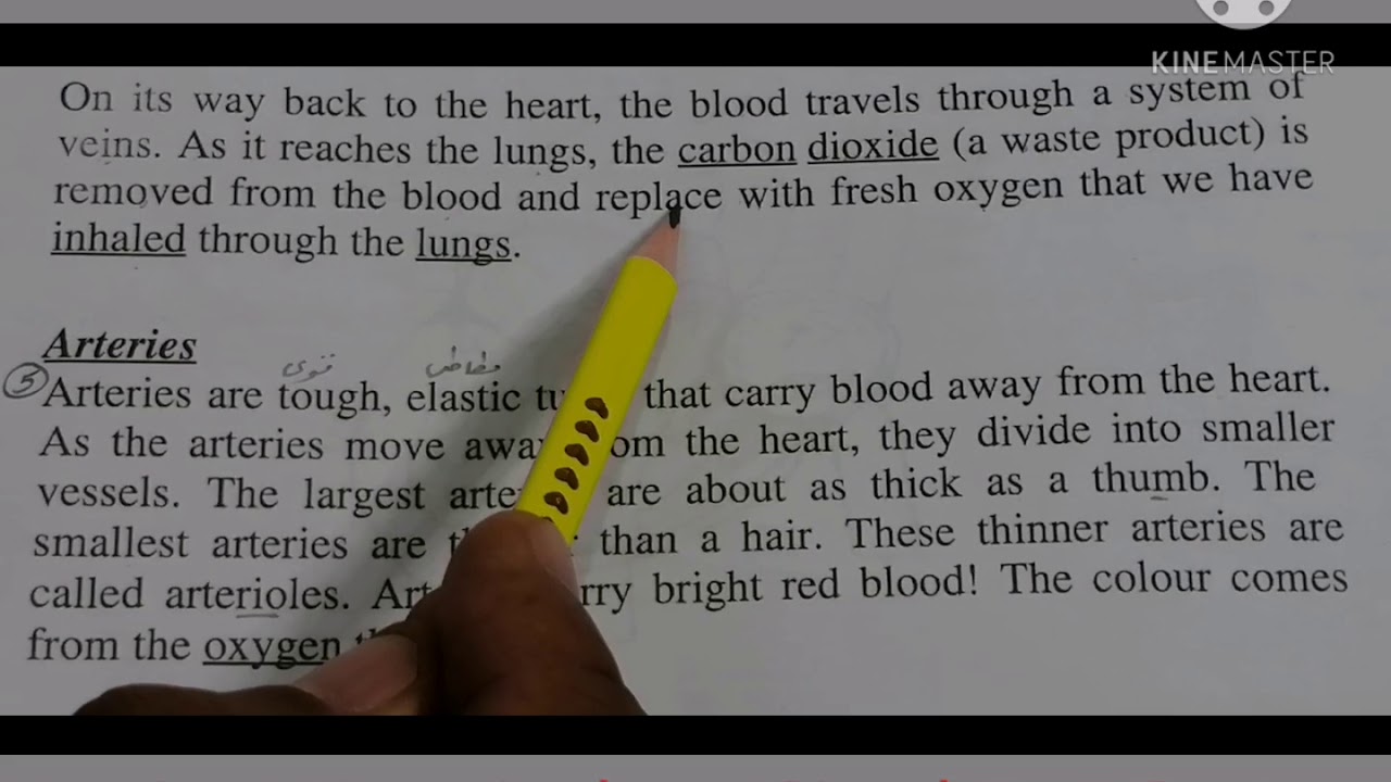 الأول تمريض¶ترمنولوجي ¶الوحدة8¶الجهاز الدوري Nursing1¶Terminology¶Circulatory System