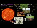 Круговорот энергии на нашей планете (видео 1) | Энергия| Биология