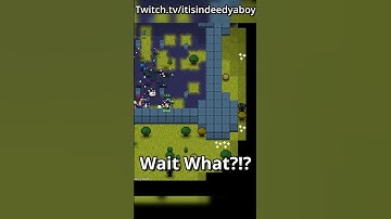 Lucky Orange Bag In ROTMG? #rotmg #realmofthemadgod