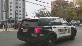 Newark Reports Of Monkeys On The Loose May Be Ai-Driven Officials