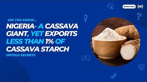 Nigeria  A Cassava Giant, Yet Exports Less Than 1% of Cassava Starch