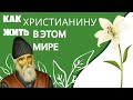 КАК ОСТАВАТЬСЯ В ЭТОМ МИРЕ ЧЕЛОВЕКОМ- ПАИСИЙ СВЯТОГОРЕЦ🌿 ПРАВОСЛАВНЫЕ ПОЧУЕНИЯ СВЯТЫХ ОТЦОВ