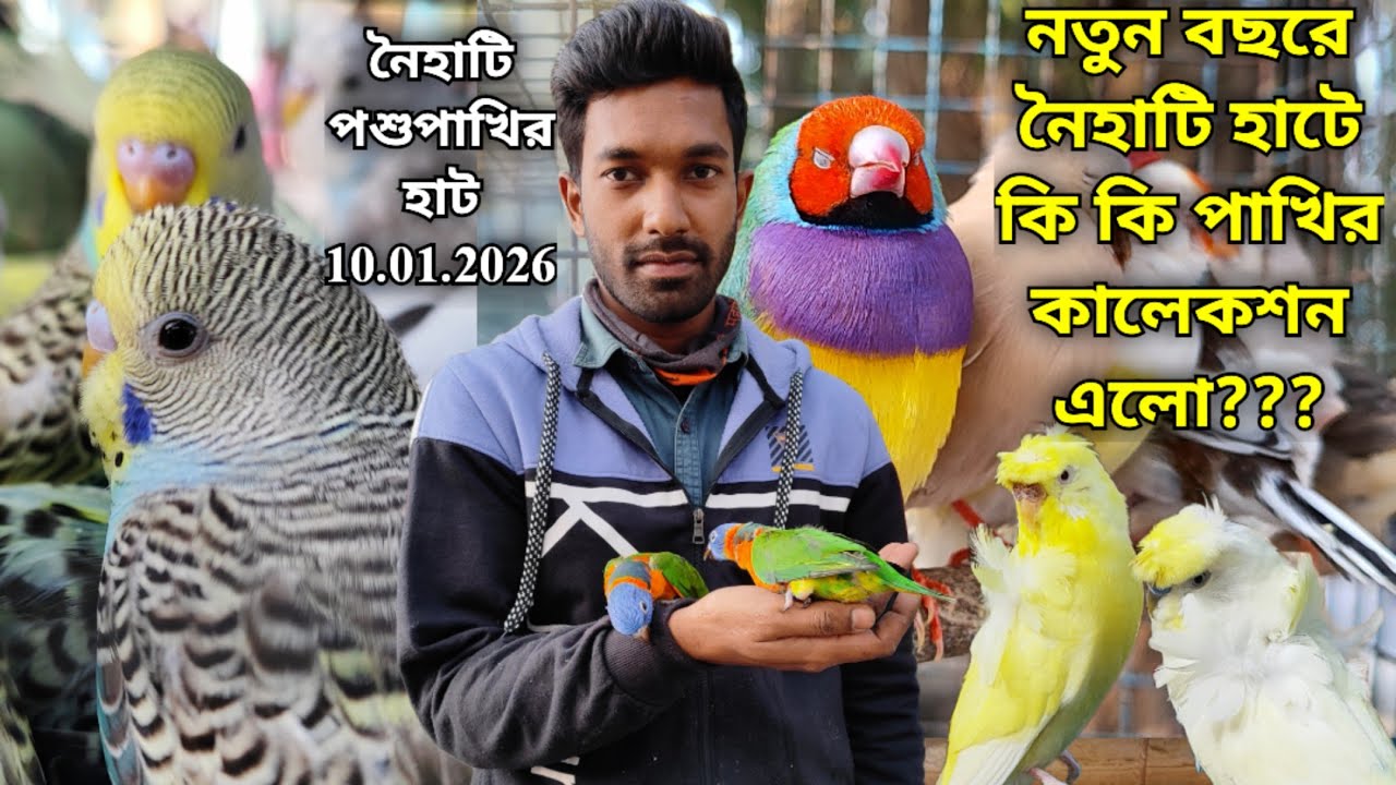 ।।নতুন বছরে নৈহাটি হাটে কি কি পাখির কালেকশন এলো???।।Part -1।।Naihati Pet Market✨।।Price of Birds।।