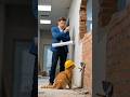 "Engineer vs Worker Cat 😂🐱 | Funny Construction Short"