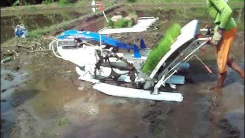 Menanam padi dengan mesin baru MAXXI PF 48