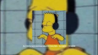 DJ CINTA SAYA BUKAN KALENG KALENG KANE - Tiktok Version