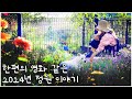 #70.[특별판] 1년 정원 돌아보기ㅣ2024정원 DIY와 꽃 식재 화단 디자인 ㅣ힐링영상