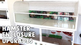 Upgrading My 1600sq Inch Hamster Cage | The Petri Dish (Billy XL)