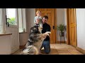 Adorable Baby Boy Loves His Dog! They Just Love Attention! (Cutest Ever!!)