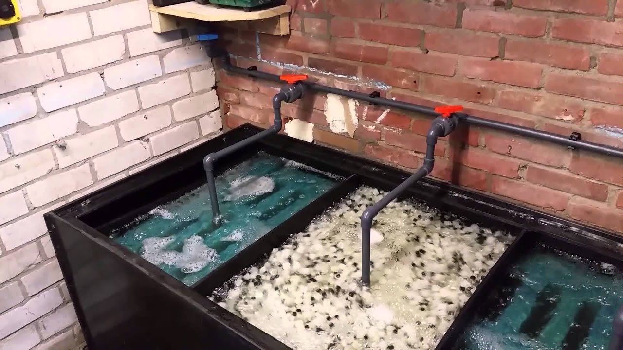 vérmérséklet Mángorló Lezser filter bewegend bed szombat Irányítást