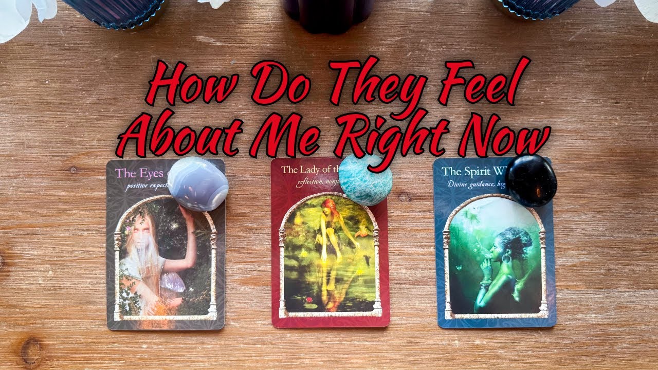 💕WHAT DOES HE/SHE THINK AND FEEL ABOUT ME RIGHT NOW?💕| 🔮Pick A Card🔮 | Love Tarot Reading (Timeless)