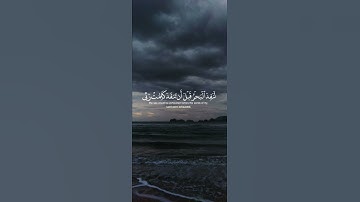 ⚘قل لو كان البحر مدادا لكلمات ربي ⚘القارئ 🌿إسلام صبحي 🌿
