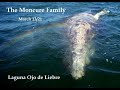 Whale Magic Tour Mar 13 2021   The Moncure Family