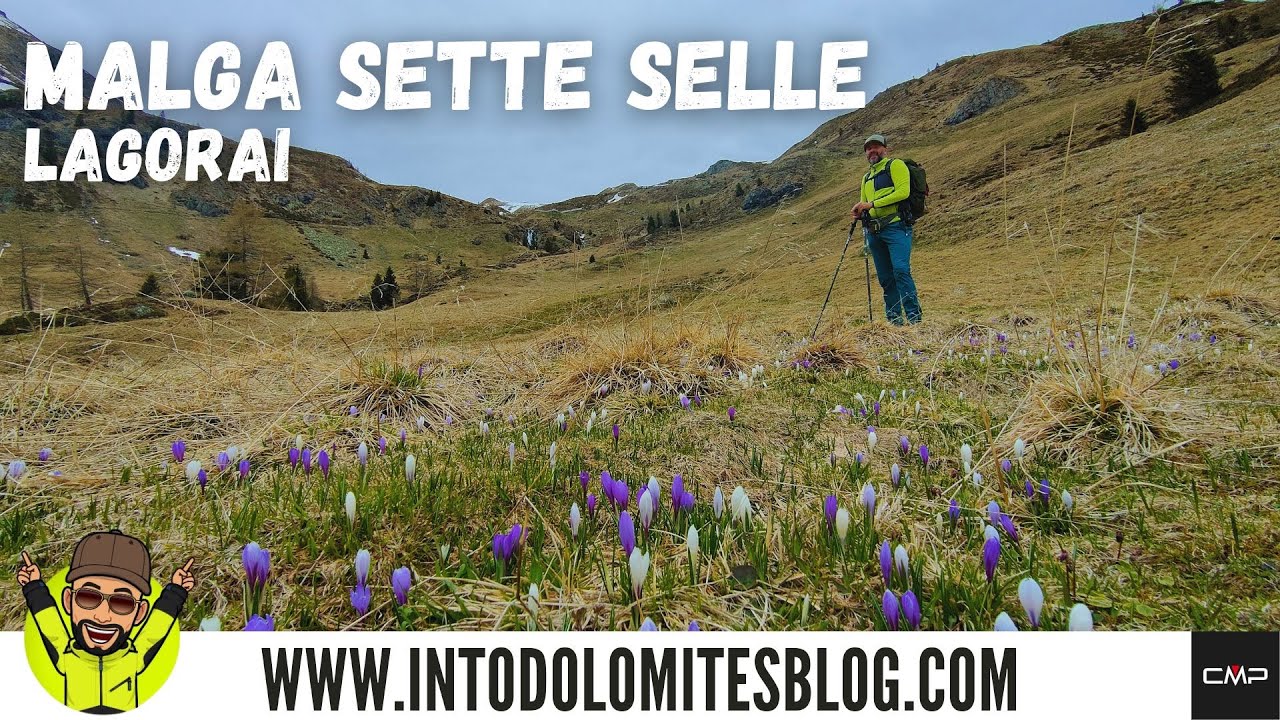 MALGA SETTE SELLE E MALGA MENDANA - LAGORAI