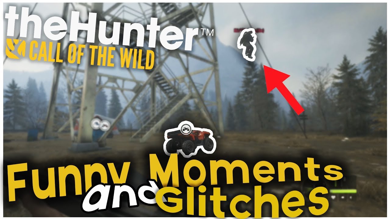 Funny Moments and Glitches! | theHunter: Call of the wild