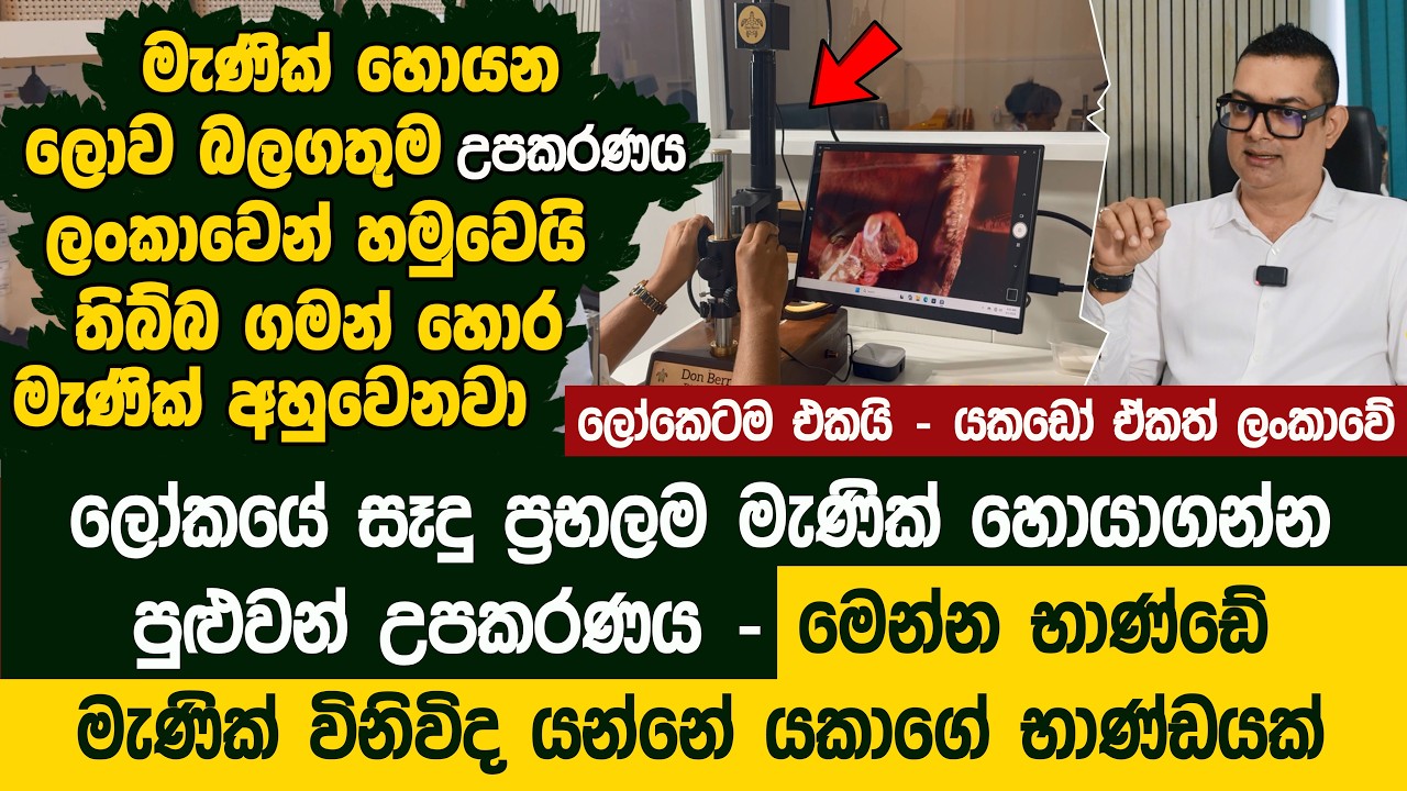 Latest Title & Thumbnail