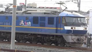 JR貨物 EF210-320号機（吹田）＋コキ20両　貨物列車5070レ（約2時間遅れ） EF510-17（富山）+コキ2両 貨物列車 2021.03.11