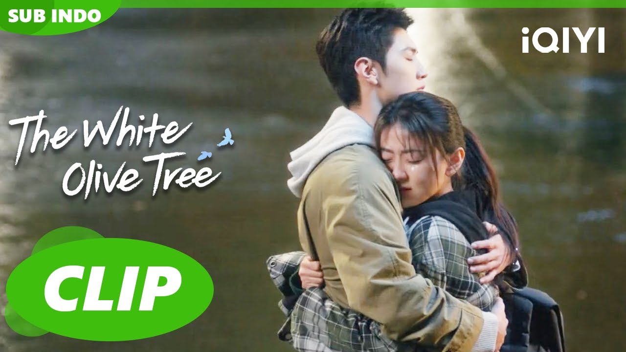 Li Zan dan Song Ran berdamai🤭😍| The White Olive Tree | CLIP | iQIYI ...