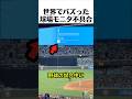 世界でバズったブルースクリーン
