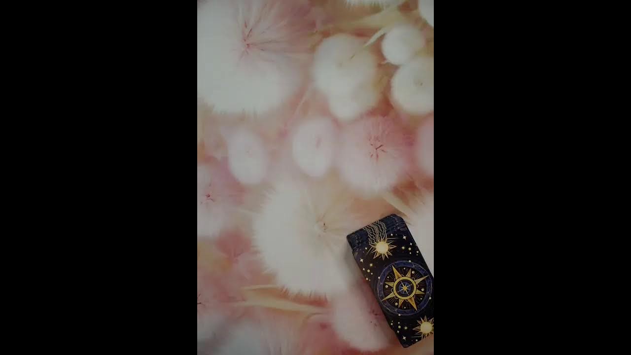 Абсолют Кристалл Channel  в прямом эфире