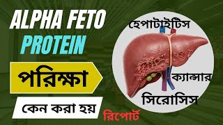 Alpha Fetoprotein Test কেন করা হয় | alpha Fetoprotein নরমাল রেঞ্জ | AFP রিপোর্ট বোঝার উপায় | 