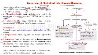 (37) Steroidal Hormones Synthesis in Our Body | Conversion of Cholesterol into Steroidal Hormones screenshot 3