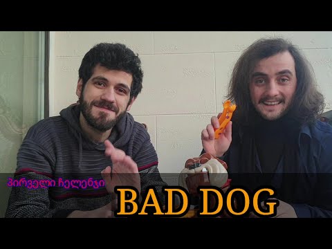 პირველი ჩელენჯი - Bad Dog