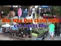 Chợ Nhà Quê chính hiệu của Mỹ - Farm Market (Cuộc sống Mỹ - Vlog 92)